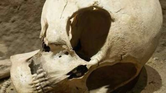 В Дании на раскопках обнаружили череп пришельца
